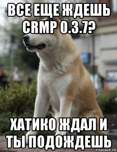 все еще ждешь crmp 0.3.7? хатико ждал и ты подождешь, Мем  Хатико ждет