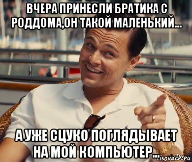 вчера принесли братика с роддома,он такой маленький... а уже сцуко поглядывает на мой компьютер..., Мем Хитрый Гэтсби