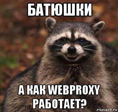 батюшки а как webproxy работает?, Мем  Хитрый енот