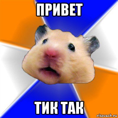 привет тик так, Мем Хомяк