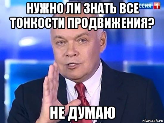 нужно ли знать все тонкости продвижения? не думаю, Мем Киселёв 2014