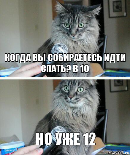 Когда вы собираетесь идти спать? В 10 Но уже 12, Комикс  кот с микрофоном