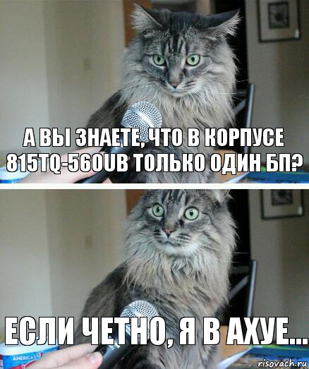 а вы знаете, что в корпусе 815TQ-560ub только один БП? если четно, я в ахуе..., Комикс  кот с микрофоном