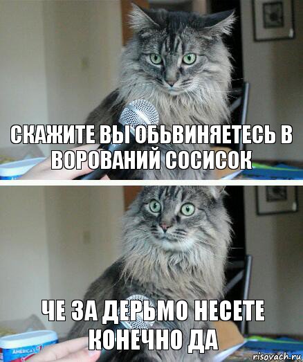 Скажите вы обьвиняетесь в ворований сосисок Че за дерьмо несете конечно да, Комикс  кот с микрофоном