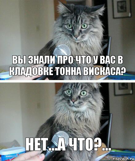 Вы знали про что у вас в кладовке тонна вискаса? Нет...а что?..., Комикс  кот с микрофоном