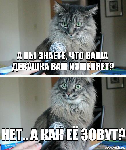 А вы знаете, что ваша девушка вам изменяет? нет.. а как её зовут?, Комикс  кот с микрофоном