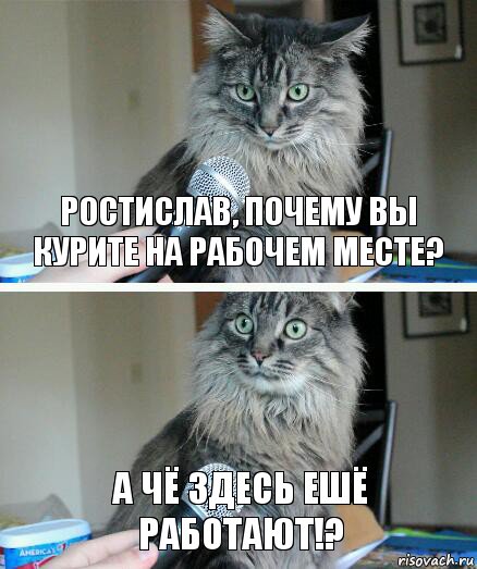 Ростислав, почему вы курите на рабочем месте? А чё здесь ешё работают!?, Комикс  кот с микрофоном