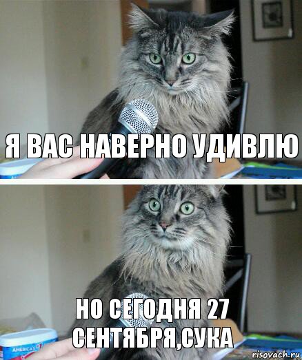 Я вас наверно удивлю Но сегодня 27 сентября,сука, Комикс  кот с микрофоном