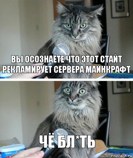 ВЫ ОСОЗНАЁТЕ ЧТО ЭТОТ СТАЙТ РЕКЛАМИРУЕТ СЕРВЕРА МАЙНКРАФТ ЧЁ БЛ*ТЬ, Комикс  кот с микрофоном