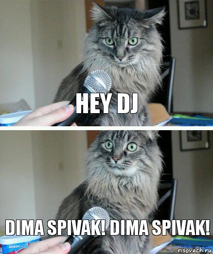 HEY DJ DIMA SPIVAK! DIMA SPIVAK!, Комикс  кот с микрофоном