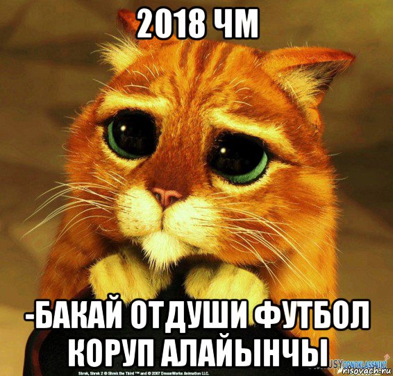 2018 чм -бакай отдуши футбол коруп алайынчы, Мем Котик из Шрека