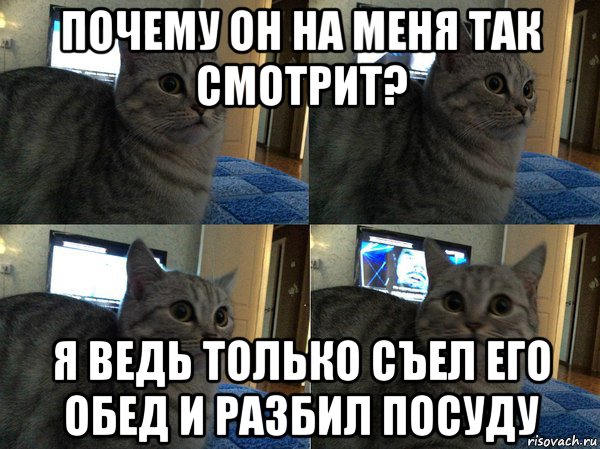 почему он на меня так смотрит? я ведь только съел его обед и разбил посуду, Мем  Кот в шоке