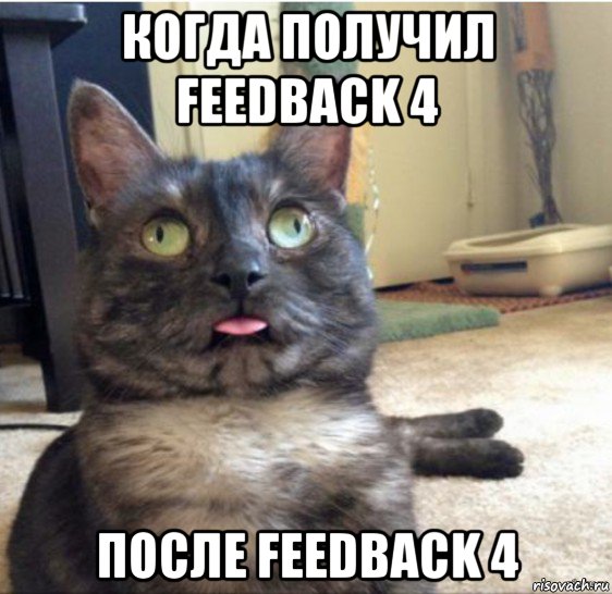 когда получил feedback 4 после feedback 4, Мем   Кот завис