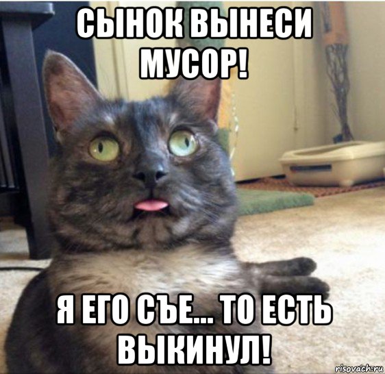 сынок вынеси мусор! я его съе... то есть выкинул!, Мем   Кот завис