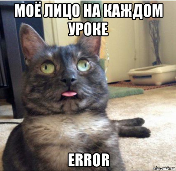 моё лицо на каждом уроке error, Мем   Кот завис