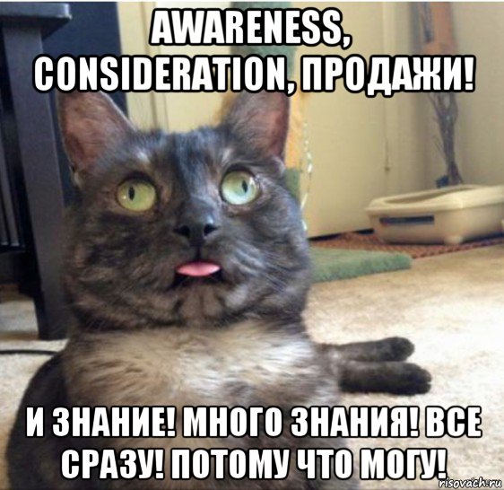 awareness, consideration, продажи! и знание! много знания! все сразу! потому что могу!, Мем   Кот завис