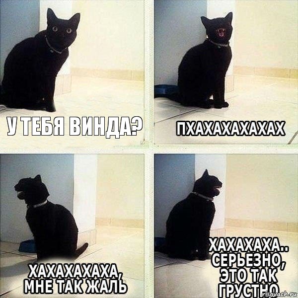 У Тебя винда?, Комикс КОТ