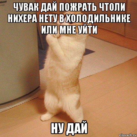 чувак дай пожрать чтоли нихера нету в холодильнике или мне уйти ну дай, Мем  котэ молится