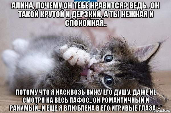 алина, почему он тебе нравится? ведь.. он такой крутой и дерзкий, а ты нежная и спокойная.. потому что я насквозь вижу его душу. даже не смотря на весь пафос.. он романтичный и ранимый.. и еще я влюблена в его игривые глаза*-*