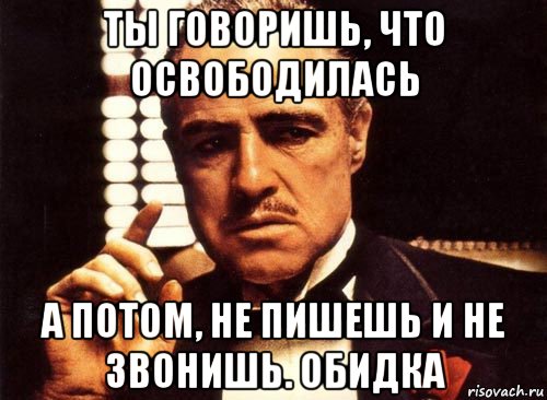 ты говоришь, что освободилась а потом, не пишешь и не звонишь. обидка, Мем крестный отец