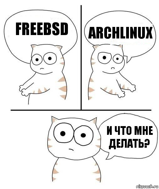 FreeBSD Archlinux И что мне делать?, Комикс Не надо так кот