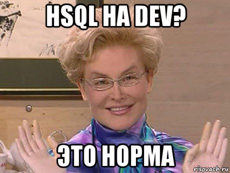 hsql на dev? это норма, Мем Елена Малышева