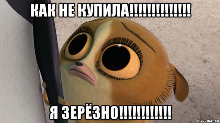 как не купила!!!!!!!!!!!!!! я зерёзно!!!!!!!!!!!!, Мем мам ну купи ну мааам