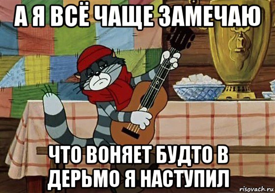 а я всё чаще замечаю что воняет будто в дерьмо я наступил, Мем Грустный Матроскин с гитарой