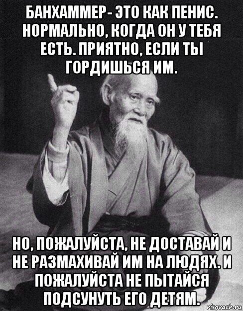 банхаммер- это как пенис. нормально, когда он у тебя есть. приятно, если ты гордишься им. но, пожалуйста, не доставай и не размахивай им на людях. и пожалуйста не пытайся подсунуть его детям., Мем Монах-мудрец (сэнсей)