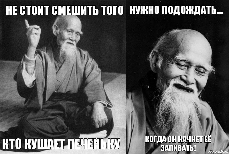 Не стоит смешить того кто кушает печеньку нужно подождать... когда он начнет её запивать!, Комикс Мудрец-монах (4 зоны)