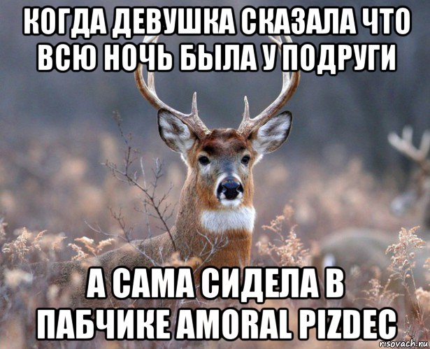 когда девушка сказала что всю ночь была у подруги а сама сидела в пабчике amoral pizdec, Мем   Наивный олень