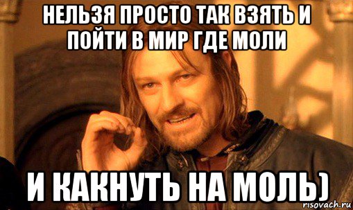 нельзя просто так взять и пойти в мир где моли и какнуть на моль), Мем Нельзя просто так взять и (Боромир мем)