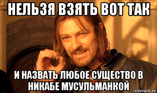 нельзя взять вот так и назвать любое существо в никабе мусульманкой, Мем Нельзя просто так взять и (Боромир мем)