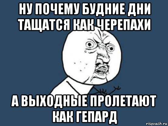 ну почему будние дни тащатся как черепахи а выходные пролетают как гепард, Мем Ну почему