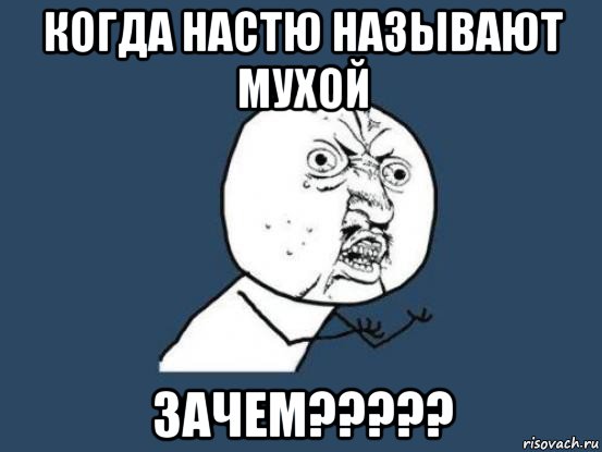 когда настю называют мухой зачем?????, Мем Ну почему