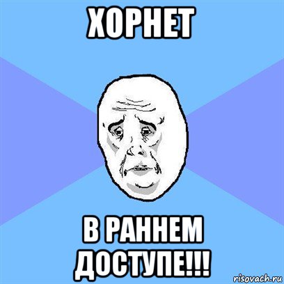 хорнет в раннем доступе!!!, Мем Okay face