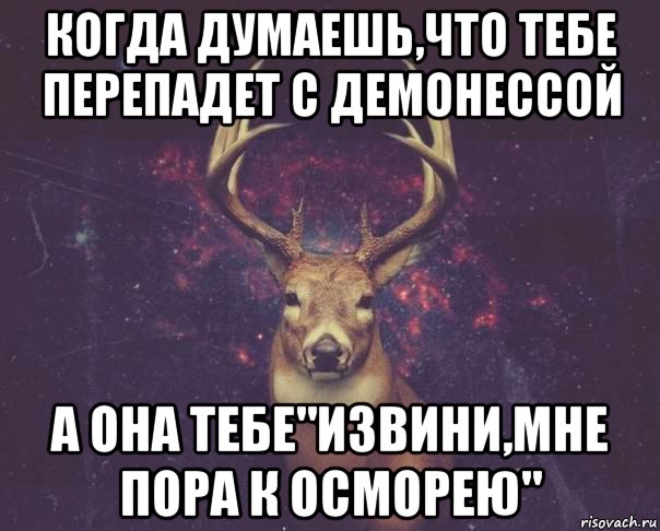 когда думаешь,что тебе перепадет с демонессой а она тебе"извини,мне пора к осморею"