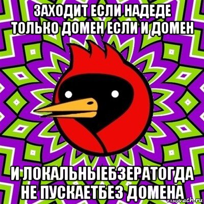 заходит если надеде только домен если и домен и локальныебзератогда не пускаетбез домена, Мем Омская птица