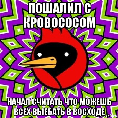 пошалил с кровососом начал считать что можешь всех выебать в восходе, Мем Омская птица