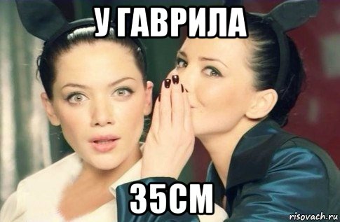 у гаврила 35см, Мем  Он