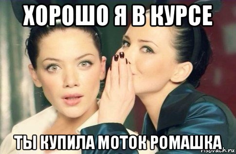 хорошо я в курсе ты купила моток ромашка, Мем  Он