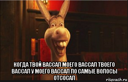  когда твой вассал моего вассал твоего вассал у моего вассал по самые волосы отсосал, Мем Осел из Шрека