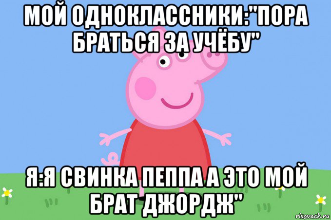 мой одноклассники:"пора браться за учёбу" я:я свинка пеппа а это мой брат джордж", Мем Пеппа