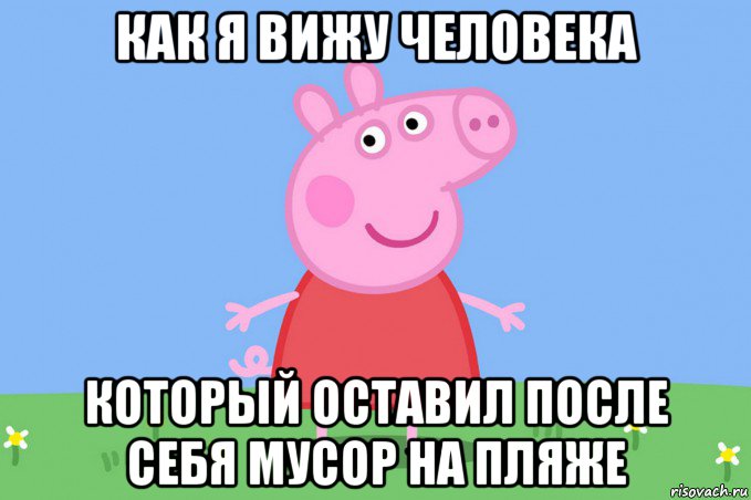 как я вижу человека который оставил после себя мусор на пляже, Мем Пеппа