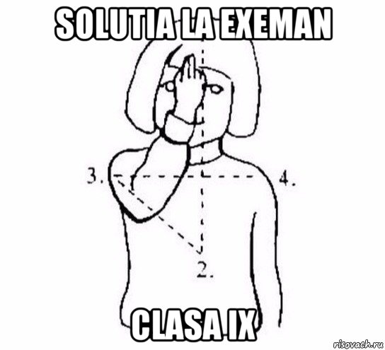 solutia la exeman clasa ix, Мем  Перекреститься