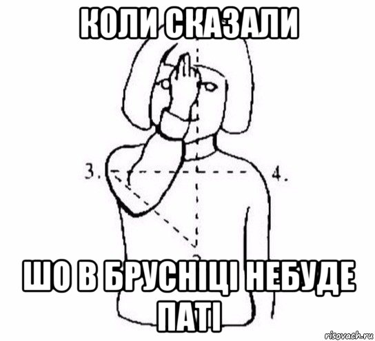 коли сказали шо в брусніці небуде паті, Мем  Перекреститься