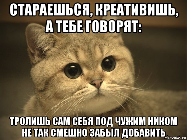 стараешься, креативишь, а тебе говорят: тролишь сам себя под чужим ником не так смешно забыл добавить, Мем Пидрила ебаная котик