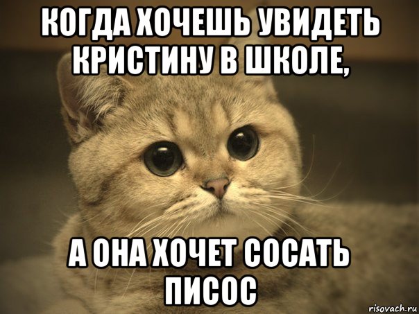 когда хочешь увидеть кристину в школе, а она хочет сосать писос, Мем Пидрила ебаная котик