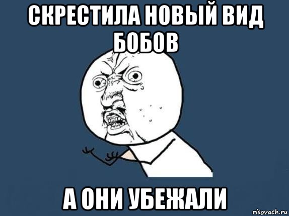 скрестила новый вид бобов а они убежали, Мем  почему мем