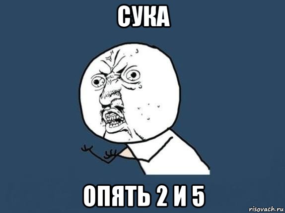 сука опять 2 и 5, Мем  почему мем